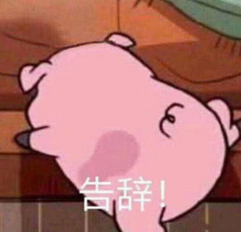 可爱的猪猪表情包你收藏了几个我这有一打