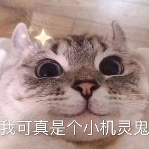 表情包排位真的累了