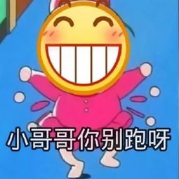 斗图不,不可以人家是正经的小猫咪