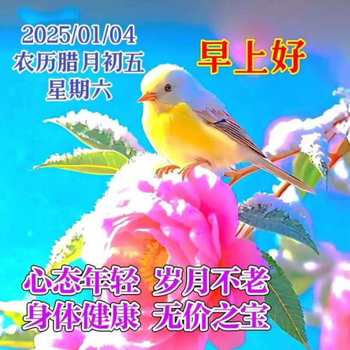 2025年1月4日周六早安图片,幸福常伴,健康长存,心情愉悦,笑口常开