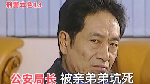 都是贪婪惹的祸,公安局长差点被亲弟弟坑死