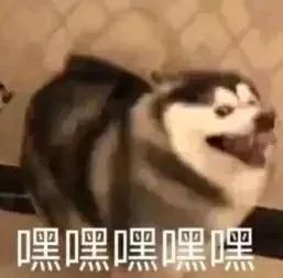狗头萝莉晒离谱经历,网友评论引人泪目