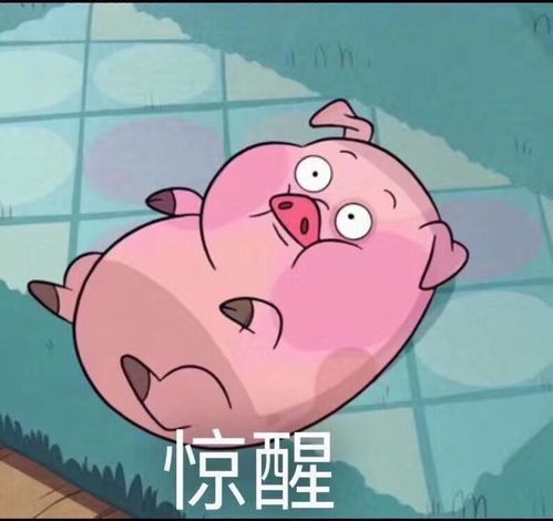 神回复段子如何一句话惹毛一个专业哈哈评论笑死我了
