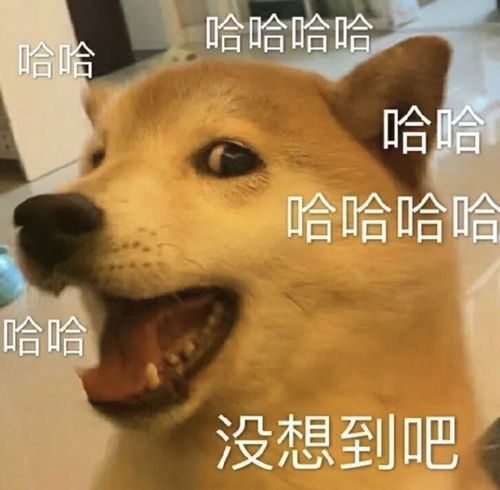 适合和我的宝官宣的文案