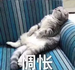 易烊千玺第一名被中戏录取,欧阳娜娜期中考试满分,娱乐圈的隐形学霸还有他们