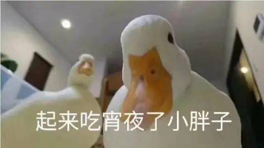 在嘉庚,送外卖需要哪些才艺