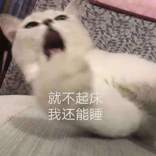 大学生假期日常