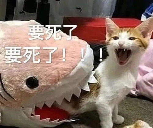 聊天日常表情包人家不要奶茶,要啵啵