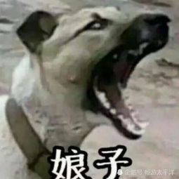 开心一笑前任给我转账520,我有点懵,发了几个问号他回