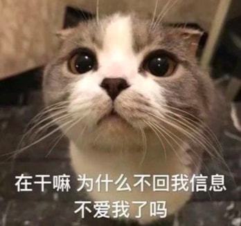 如果你对象很丑怎么办论和对象的那些奇葩事