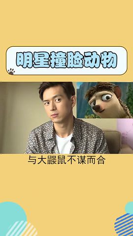 明星表情包撞脸动画角色,王一博的笑神似柴犬,李现翻版大鼹鼠