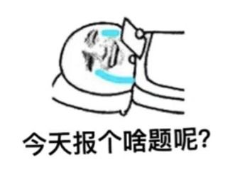 你这气质,一看就是搞新闻的表情包揭秘我们一天都在干嘛