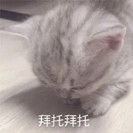 活久见操作,摁头张国荣刘德华battle有啥意义呢