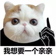 猫脸熊猫人表情包