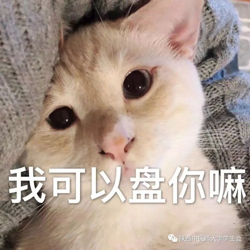 ci多了油腻腻,来盘几份小清新吧