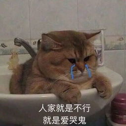 好物活久见纯物理就能杀蚊自从有了它半夜睡觉终于清静了