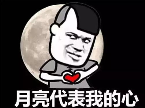 中秋节有人要和我一起赏月吗表情包下载抖音中秋节有人要和我一起赏月吗表情包图片无水印免费下载v1.0114手机乐园