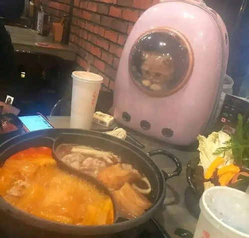 快来吃火锅表情包轻松一刻