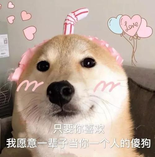 表情包投币聊天,概不赊账