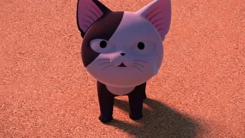 甜甜私房猫母猫阿姨在给小猫排练歌曲,为今晚的演出做准备