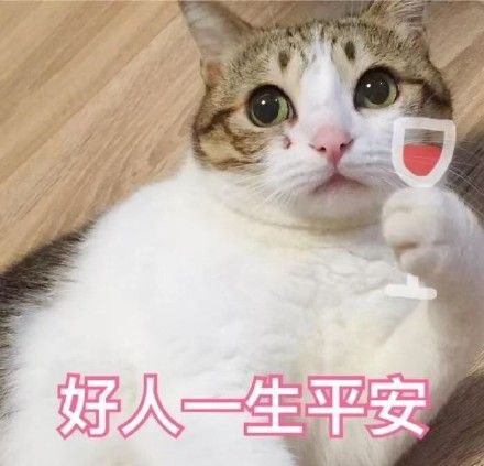 塔吊表情包图片大全养猫人