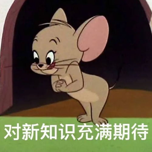 黄皮耗子表情包小微