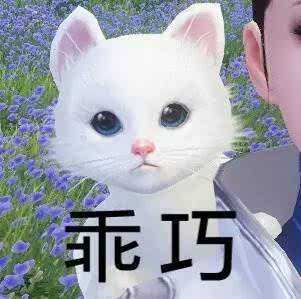 今日干货丨想戒猫还是一起来云吸猫吧