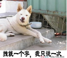 拽就一个字,我只说一次