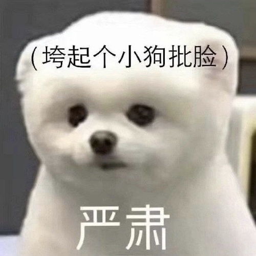 优秀宝典