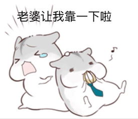 可爱仓鼠夫妇表情包