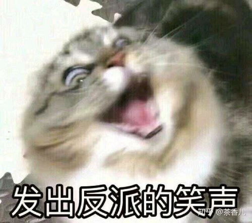 请问高中生如何制定学习内容目标计划