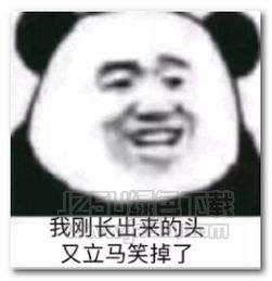 我笑到大气层共振表情图片我笑到大气层共振表情包完整版jz5u绿色下载站