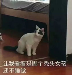 同学你该护肝了青晚报