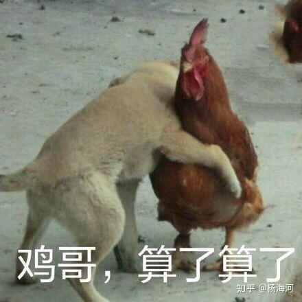 考研失利如何准备马来亚大学硕士