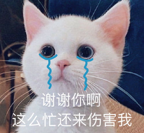 有哪些既搞笑又丢人的事哈哈哈
