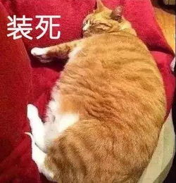 因为胖,我惨遭贱卖....