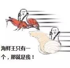 刷屏的皮皮虾我们走是什么梗海鲜界的网红也是不好当