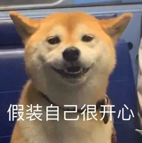 微信搞笑表情包你好贱啊