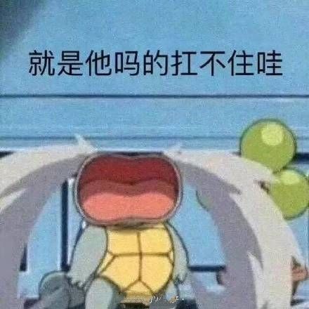 好玩实用的表情包