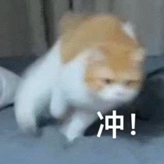 村长包车游客组团,深中通道持续火爆去打卡这些事情不要做