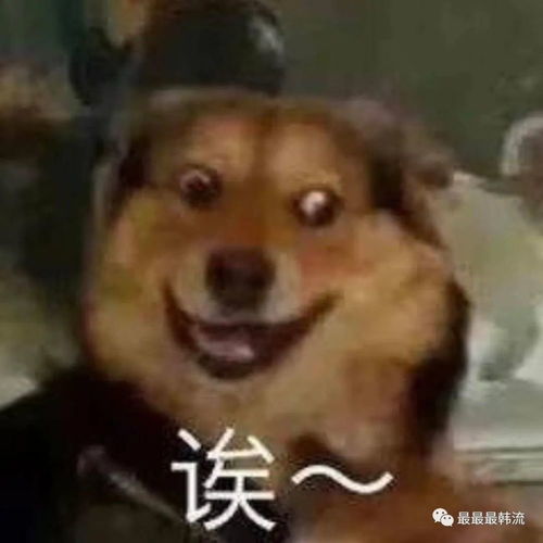 打住真的够了