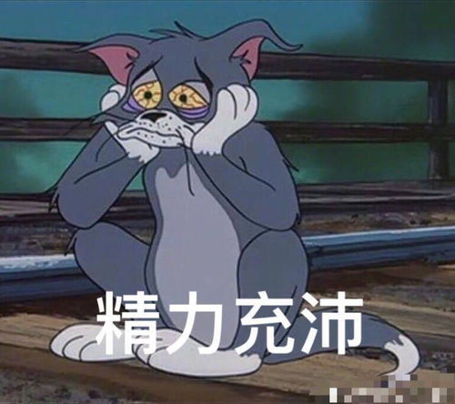 本组还有没睡的人才吗要不要来打赌