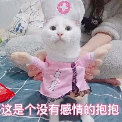 污微信表情包搞笑图片猫咪