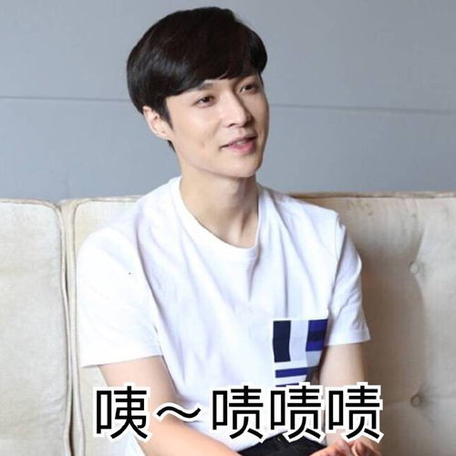 exo张艺兴lay表情包
