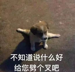 所以我今天到底穿不穿秋衣秋裤