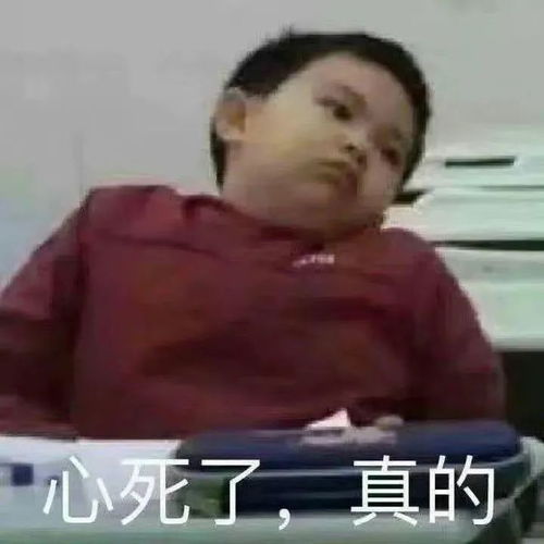她偷怀双胞胎还能上浪姐,最后骗过所有人