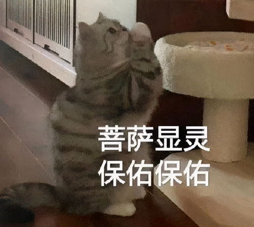 速查西藏公务员考试笔试成绩出了快看你进面了没