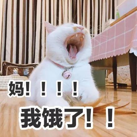 广西公布非遗名单,玉林这些项目入选有你家乡的吗