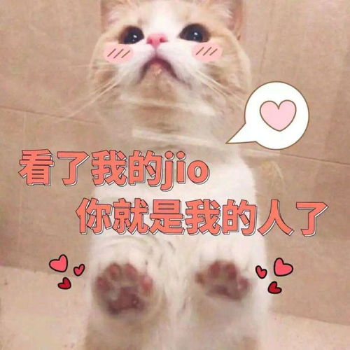 有哪些可以rap的押韵句子