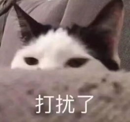 低至55地表最强遮瑕粉底,自拍还要什么磨皮